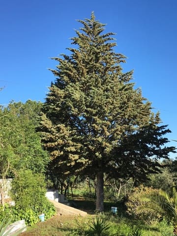 5 soveværelse Finca/Landehus til salg i Antequera med garage - € 450.000 (Ref: 9232175)