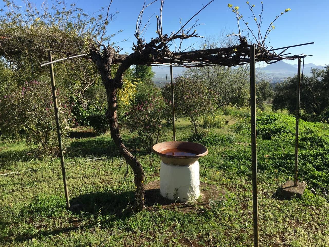 5 soveværelse Finca/Landehus til salg i Antequera med garage - € 450.000 (Ref: 9232175)