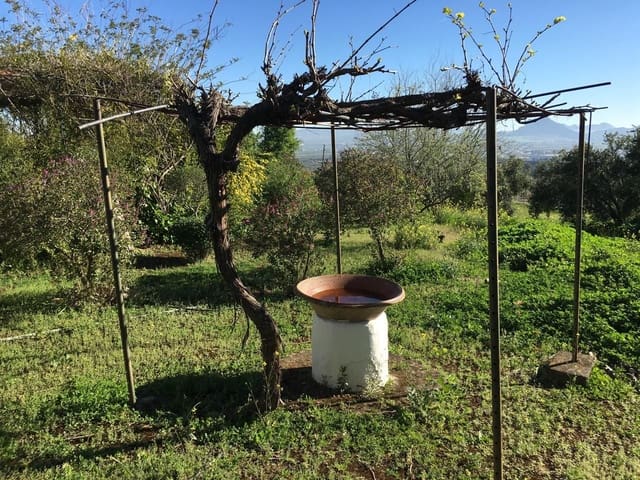 5 soveværelse Finca/Landehus til salg i Antequera med garage - € 450.000 (Ref: 9232175)