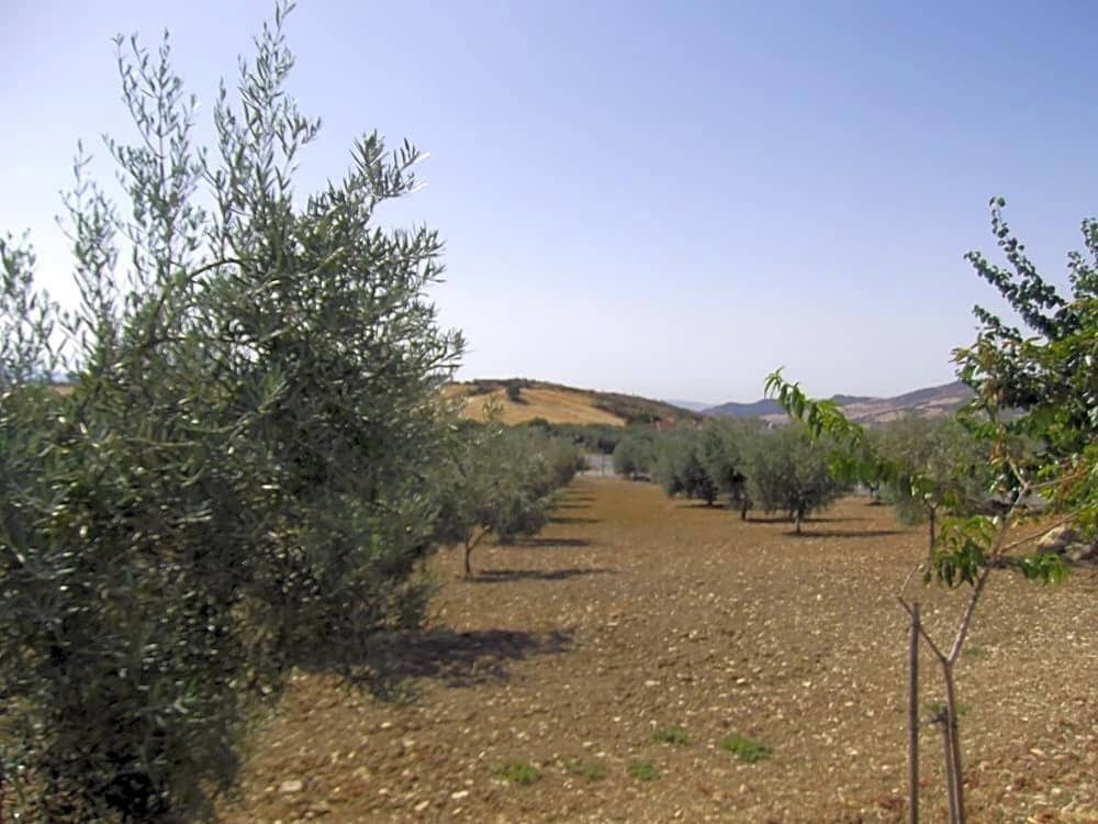 5 soveværelse Villa til salg i Villanueva de la Concepcion med garage - € 450.000 (Ref: 9232187)