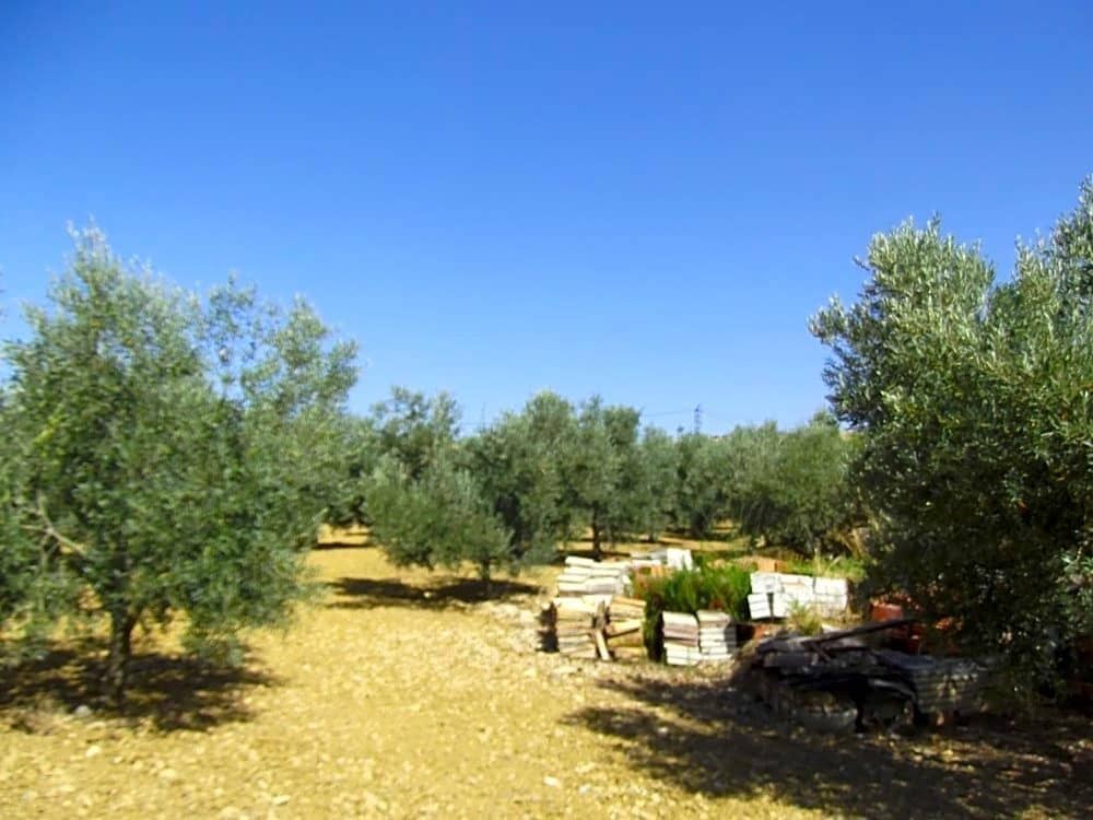 5 soveværelse Villa til salg i Villanueva de la Concepcion med garage - € 450.000 (Ref: 9232187)