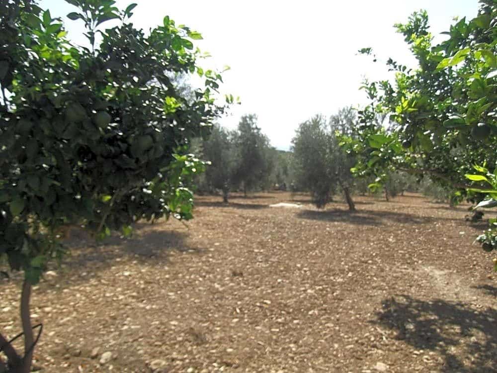 5 soveværelse Villa til salg i Villanueva de la Concepcion med garage - € 450.000 (Ref: 9232187)