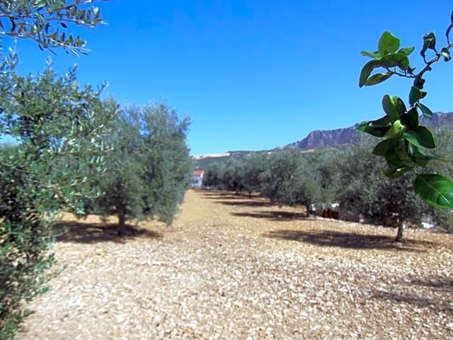 5 chambre Villa/Maison à vendre à Villanueva de la Concepcion avec garage - 450 000 € (Ref: 9232187)