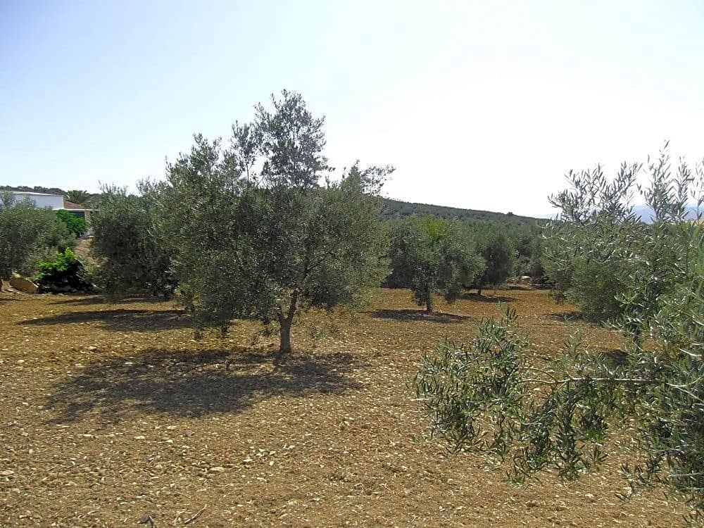 5 soveværelse Villa til salg i Villanueva de la Concepcion med garage - € 450.000 (Ref: 9232187)