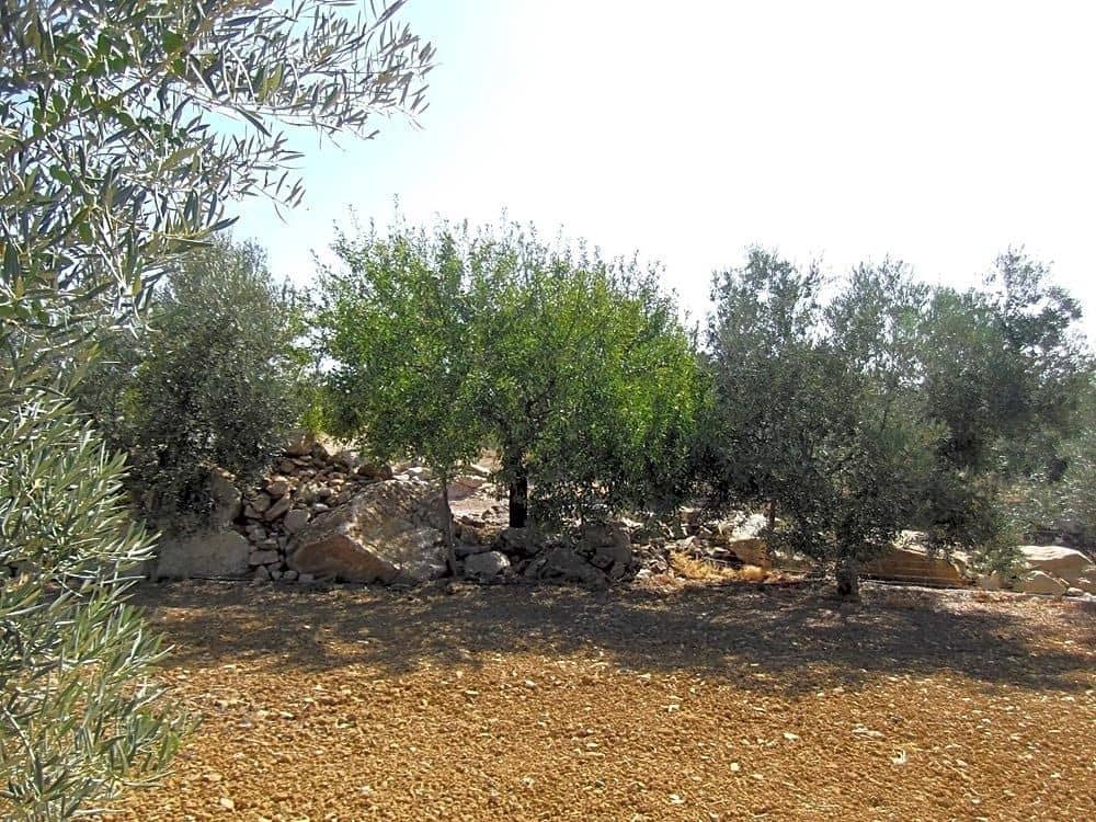 5 soveværelse Villa til salg i Villanueva de la Concepcion med garage - € 450.000 (Ref: 9232187)