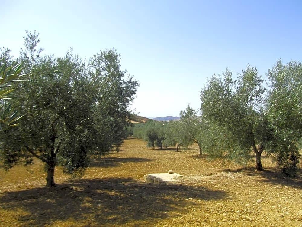 5 soveværelse Villa til salg i Villanueva de la Concepcion med garage - € 450.000 (Ref: 9232187)