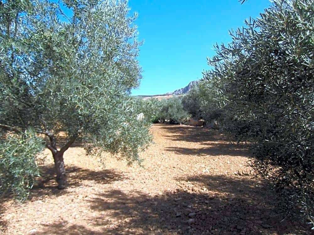 5 soveværelse Villa til salg i Villanueva de la Concepcion med garage - € 450.000 (Ref: 9232187)