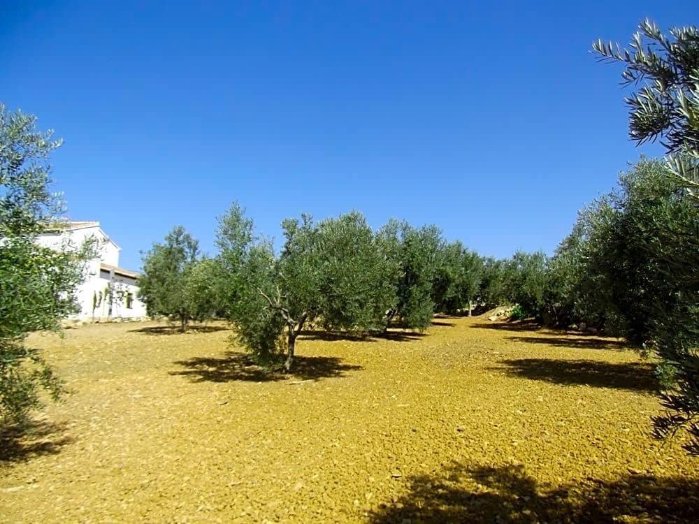 5 soveværelse Villa til salg i Villanueva de la Concepcion med garage - € 450.000 (Ref: 9232187)