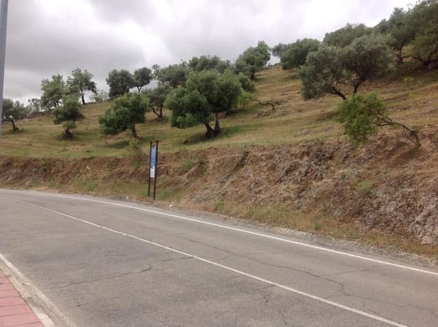 Ubebygd land til salgs i Cañete la Real - € 5 400 000 (Ref: 9232188)