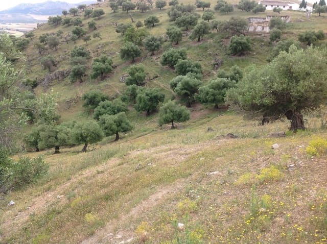 Ubebygd land til salgs i Cañete la Real - € 5 400 000 (Ref: 9232188)