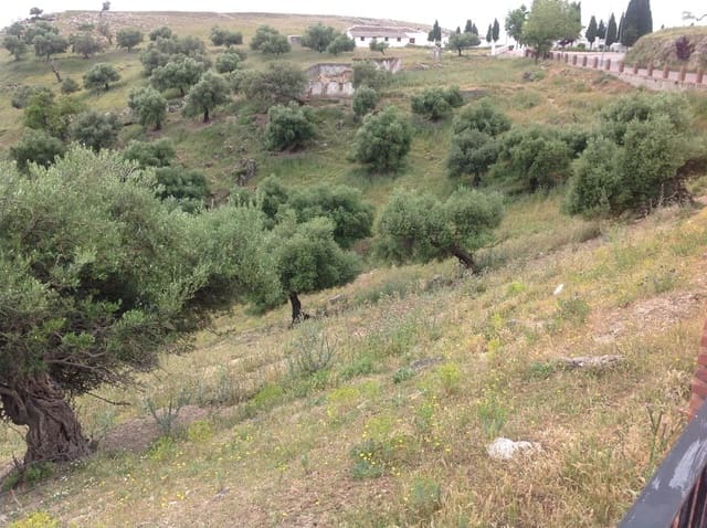 Ubebygd land til salgs i Cañete la Real - € 5 400 000 (Ref: 9232188)