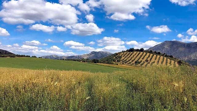 Rakentamaton maa myytävänä paikassa Antequera - 165 000 € (Ref: 9232192)