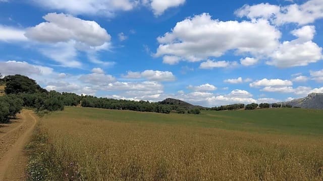 Rakentamaton maa myytävänä paikassa Antequera - 165 000 € (Ref: 9232192)