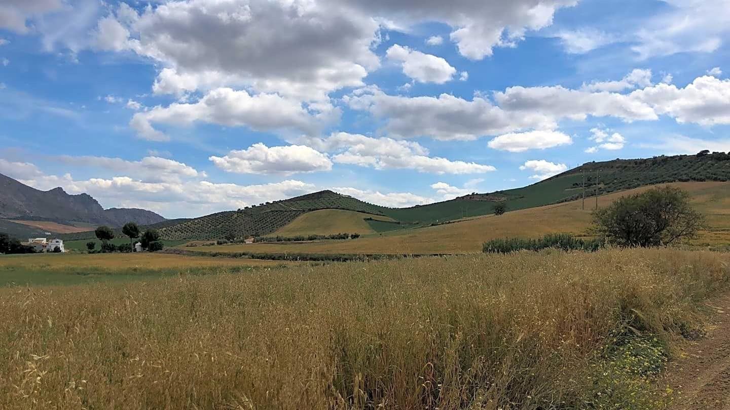 Ubebygd land til salgs i Antequera - € 165 000 (Ref: 9232192)