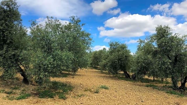 Rakentamaton maa myytävänä paikassa Antequera - 165 000 € (Ref: 9232192)