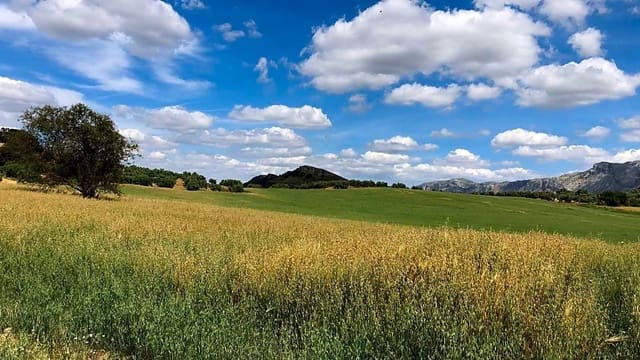 Rakentamaton maa myytävänä paikassa Antequera - 165 000 € (Ref: 9232192)