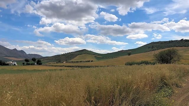 Rakentamaton maa myytävänä paikassa Antequera - 165 000 € (Ref: 9232192)