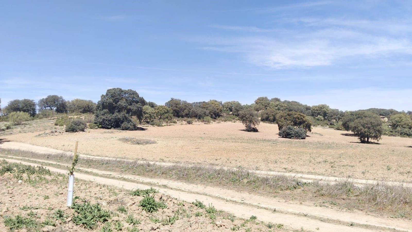 Ubebygd land til salgs i Archidona - € 115 000 (Ref: 9232193)