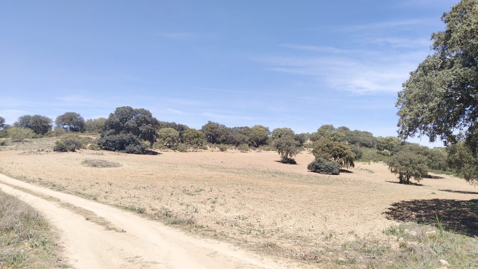 Ubebygd land til salgs i Archidona - € 115 000 (Ref: 9232193)