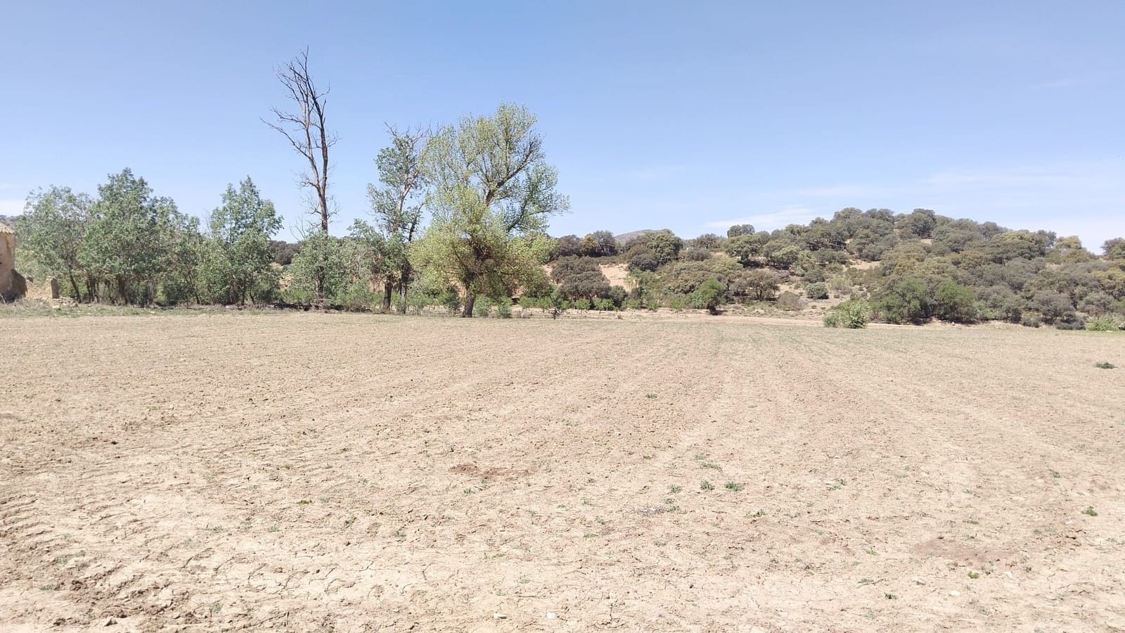Ubebygd land til salgs i Archidona - € 115 000 (Ref: 9232193)