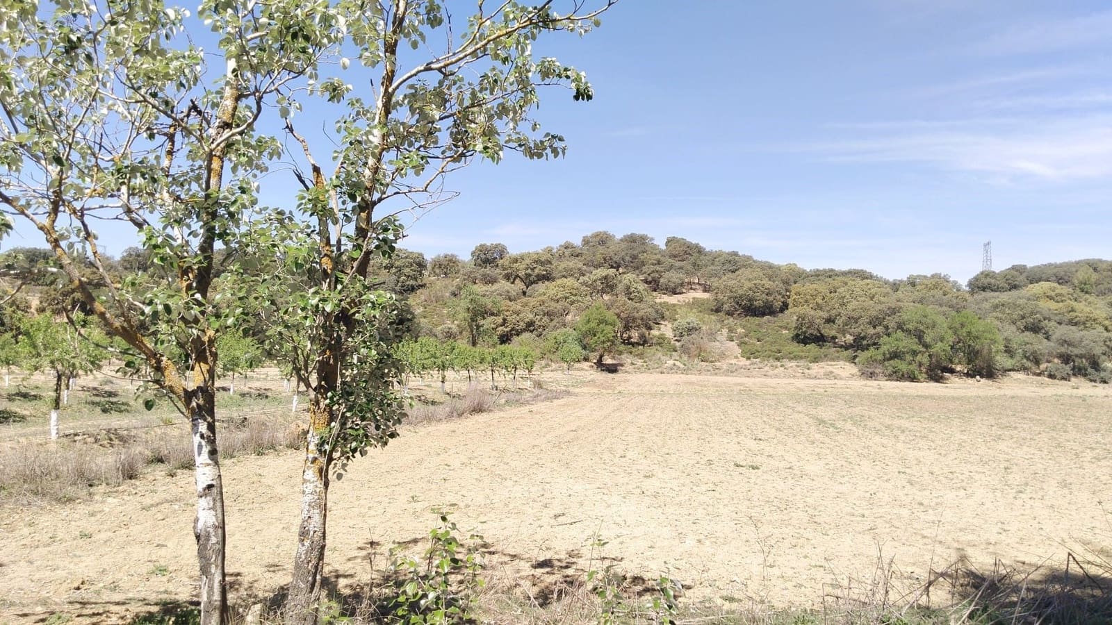 Ubebygd land til salgs i Archidona - € 115 000 (Ref: 9232193)