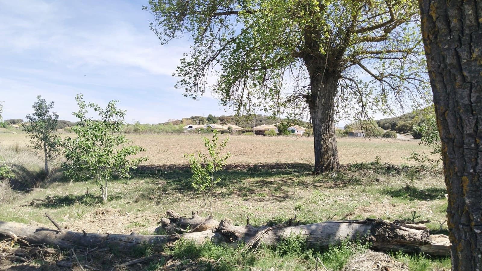 Ubebygd land til salgs i Archidona - € 115 000 (Ref: 9232193)