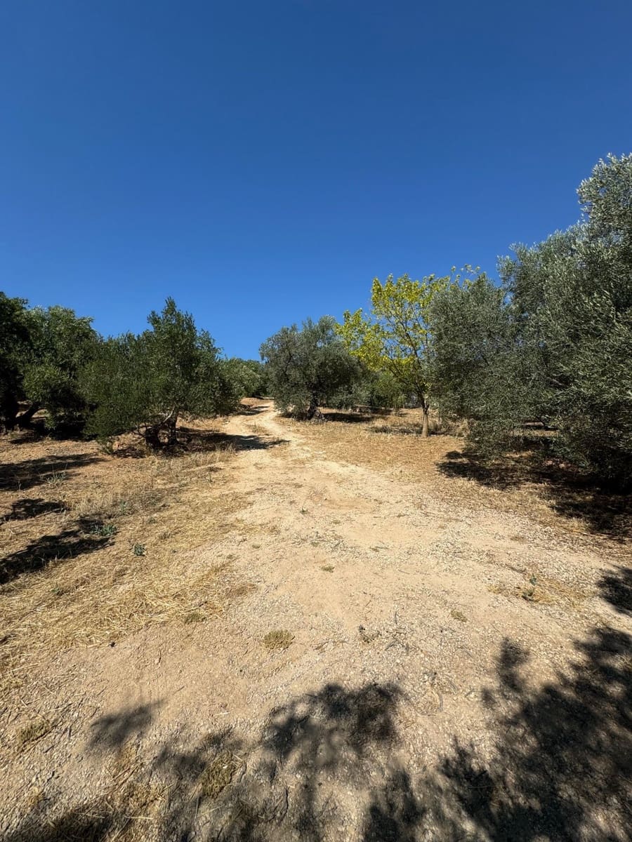 5 sypialnia Finka/Dom wiejski na sprzedaż w Antequera z basenem garażem - 475 000 € (Ref: 9232198)