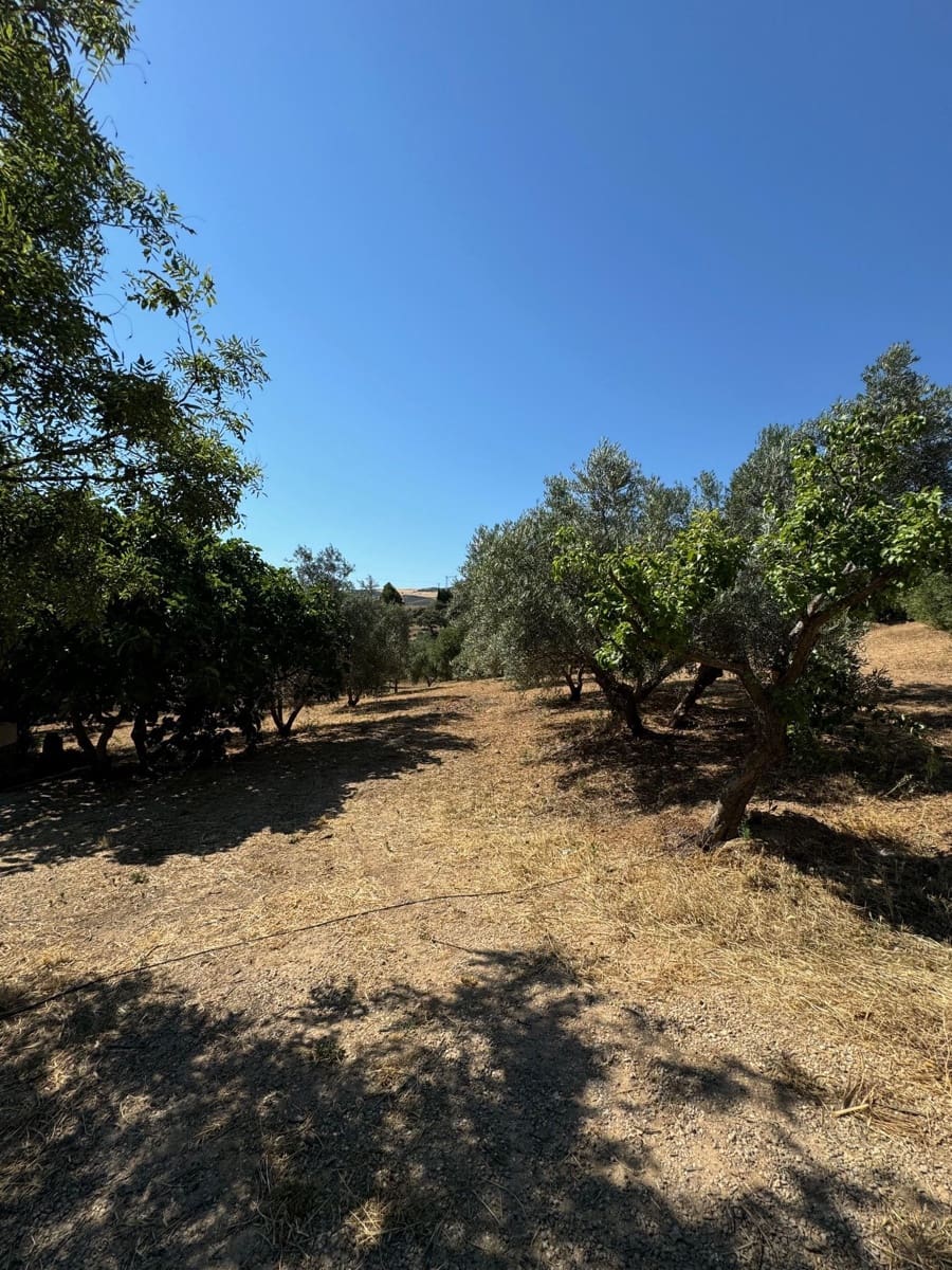 5 sypialnia Finka/Dom wiejski na sprzedaż w Antequera z basenem garażem - 475 000 € (Ref: 9232198)