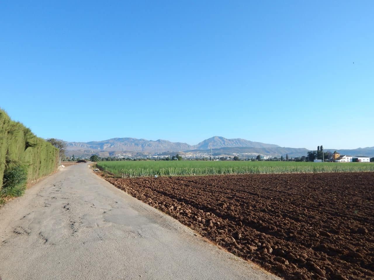3 soveværelse Finca/Landehus til salg i Antequera - € 200.000 (Ref: 9232200)