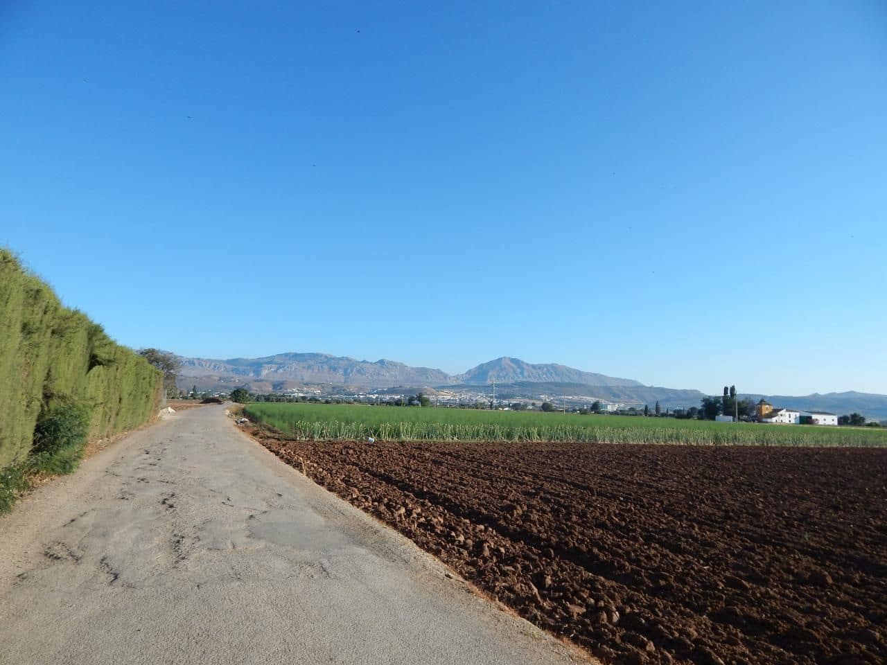 3 soveværelse Finca/Landehus til salg i Antequera - € 200.000 (Ref: 9232200)