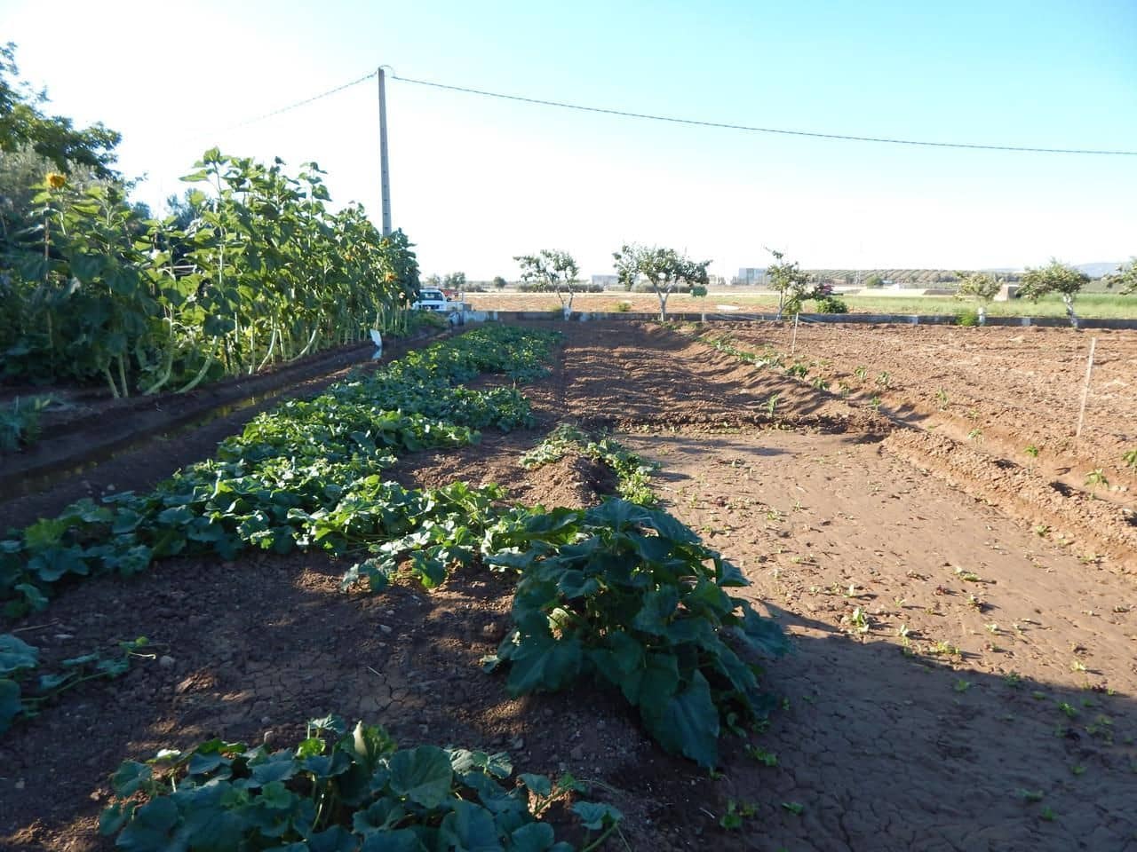 3 soveværelse Finca/Landehus til salg i Antequera - € 200.000 (Ref: 9232200)