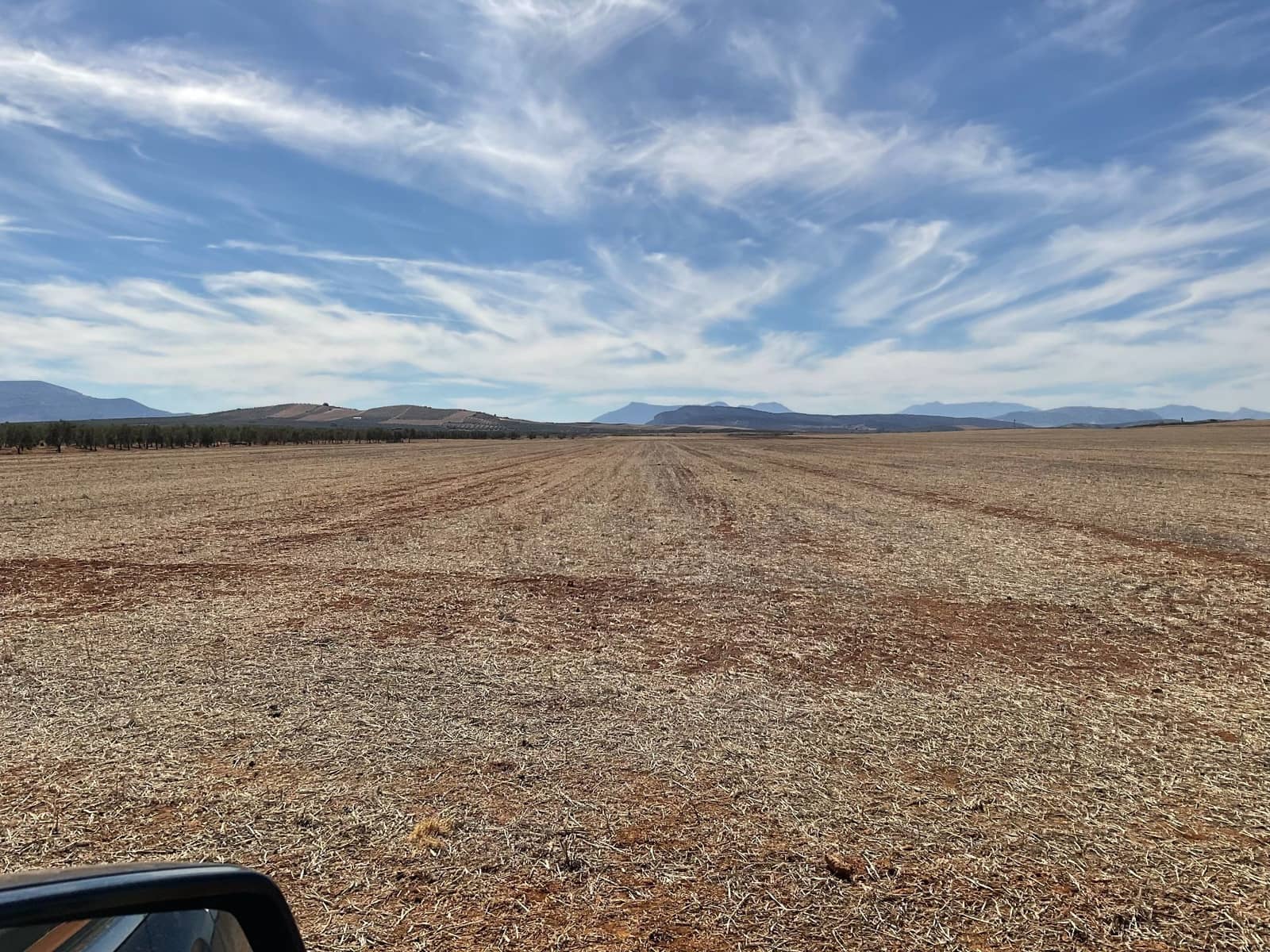 Teren niezagospodarowany na sprzedaż w Campillos - 75 000 € (Ref: 9232215)