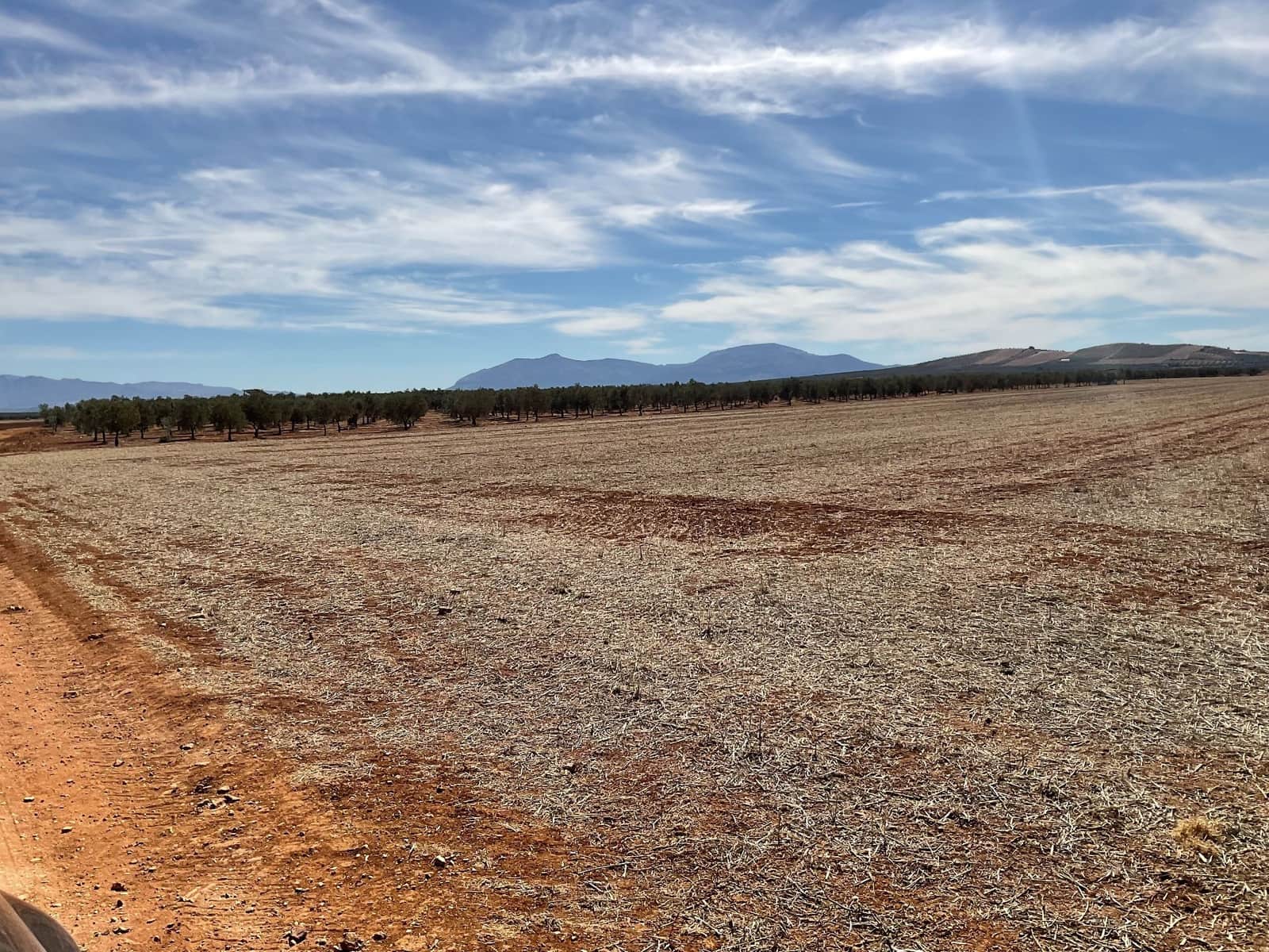 Teren niezagospodarowany na sprzedaż w Campillos - 75 000 € (Ref: 9232215)