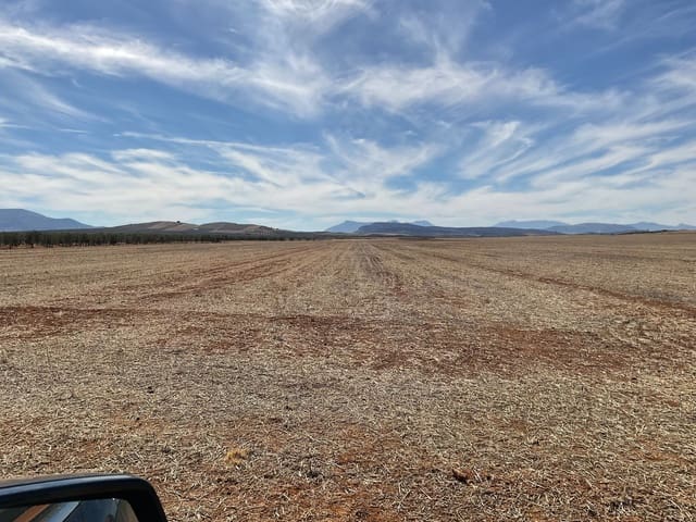 Grunde uden byggetilladelser til salg i Campillos - € 75.000 (Ref: 9232215)