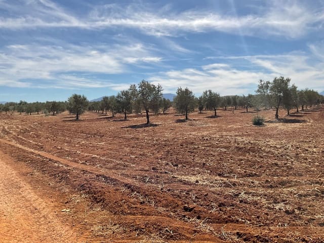 Grunde uden byggetilladelser til salg i Campillos - € 75.000 (Ref: 9232215)