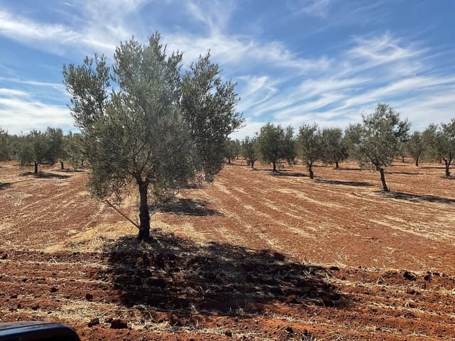 Grunde uden byggetilladelser til salg i Campillos - € 75.000 (Ref: 9232215)