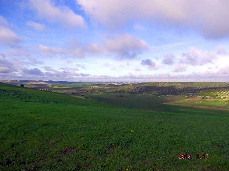 Finka/Dom wiejski na sprzedaż w La Puebla de Cazalla - 3 314 460 € (Ref: 9232224)