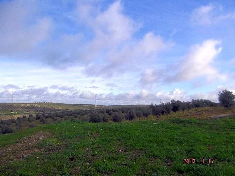 Finka/Dom wiejski na sprzedaż w La Puebla de Cazalla - 3 314 460 € (Ref: 9232224)