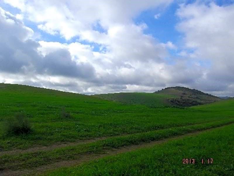 Finka/Dom wiejski na sprzedaż w La Puebla de Cazalla - 3 314 460 € (Ref: 9232224)