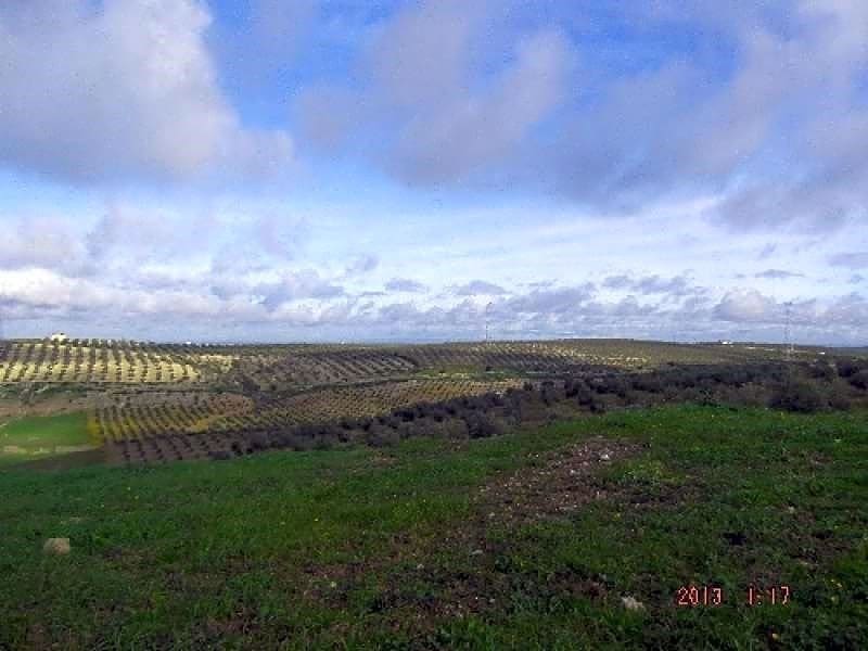 Finka/Dom wiejski na sprzedaż w La Puebla de Cazalla - 3 314 460 € (Ref: 9232224)