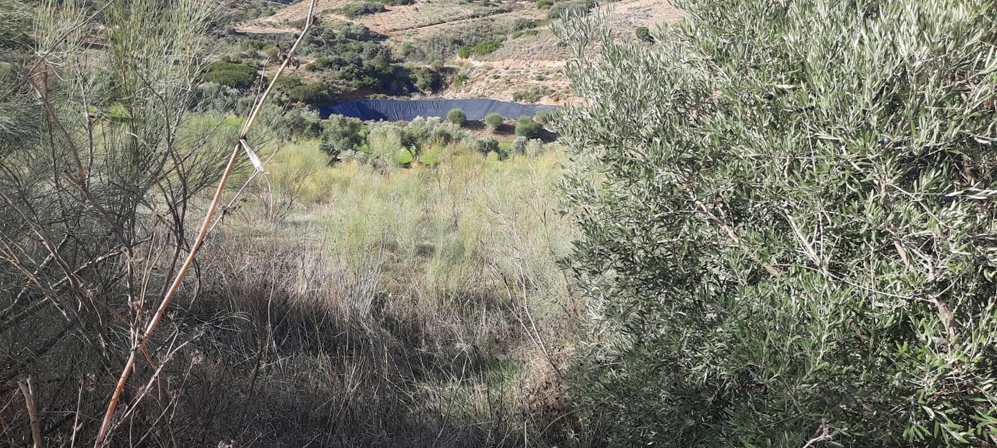 Rakentamaton maa myytävänä paikassa Antequera - 96 000 € (Ref: 9232230)