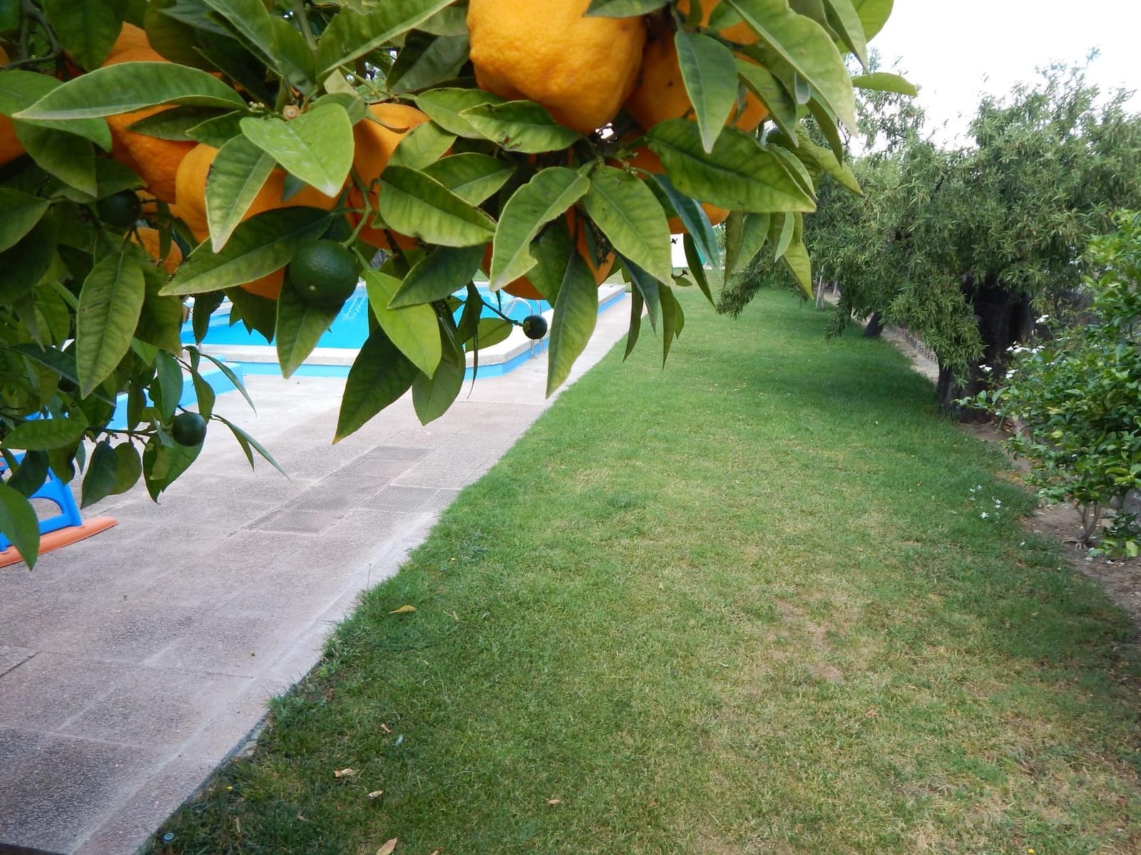 Finca/Landehus til salg i Antequera med swimmingpool garage - € 650.000 (Ref: 9232234)
