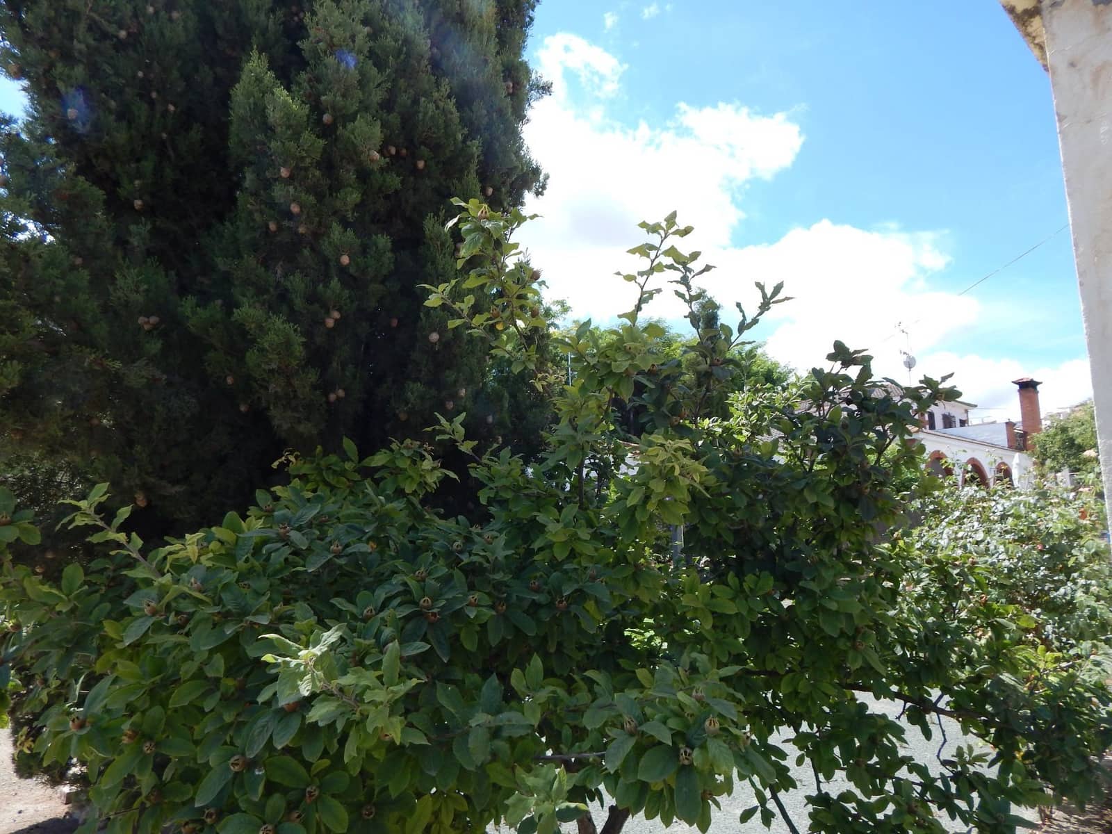 Finca/Landehus til salg i Antequera med swimmingpool garage - € 650.000 (Ref: 9232234)