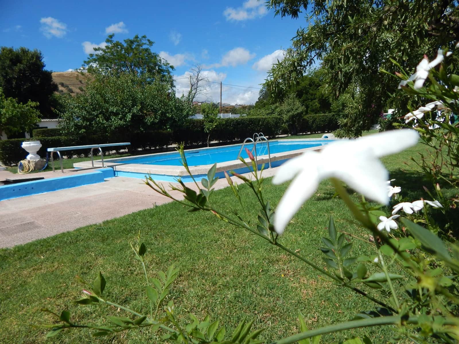 Finca/Landehus til salg i Antequera med swimmingpool garage - € 650.000 (Ref: 9232234)