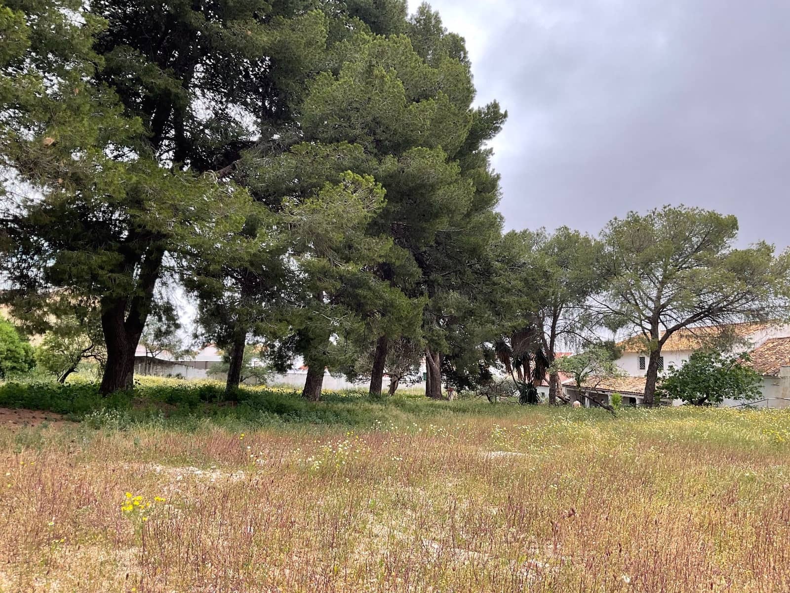 7 makuuhuone Maalaistalo myytävänä paikassa Humilladero - 900 000 € (Ref: 9232241)