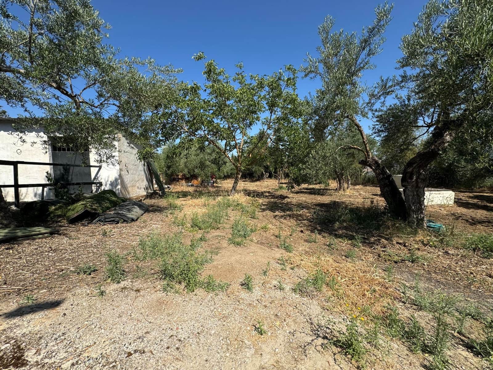 5 soverom Villa til salgs i Ronda med svømmebasseng garasje - € 1 300 000 (Ref: 9232244)