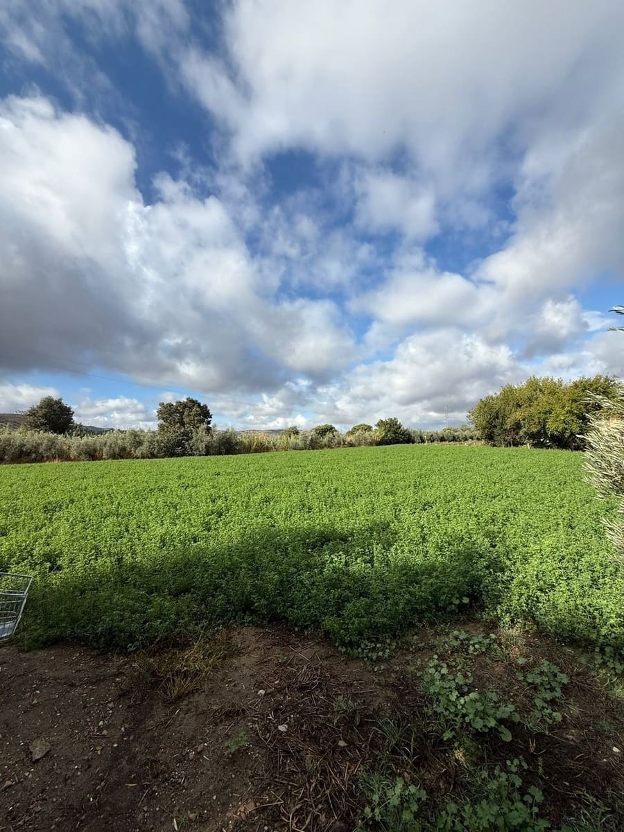 Finca/Landehus til salg i Antequera - € 159.000 (Ref: 9361889)