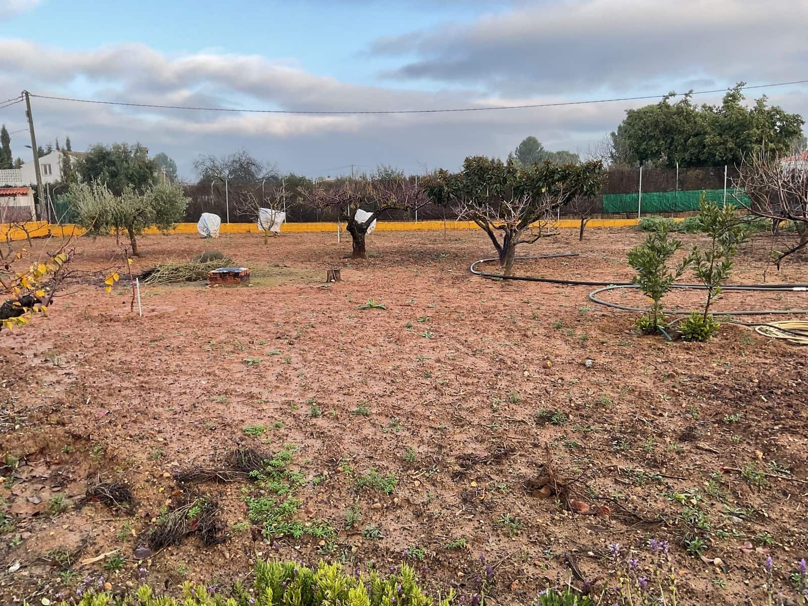 3 bedroom Finca/Country House for sale in Antequera with garage - € 175,000 (Ref: 9494256)
