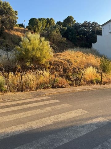 Undeveloped Land for sale in Antequera - € 90,000 (Ref: 9981788)
