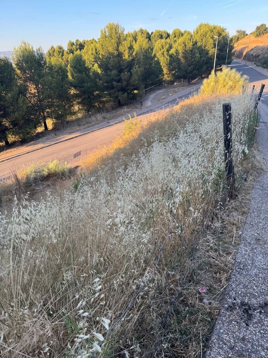 Undeveloped Land for sale in Antequera - € 90,000 (Ref: 9981788)